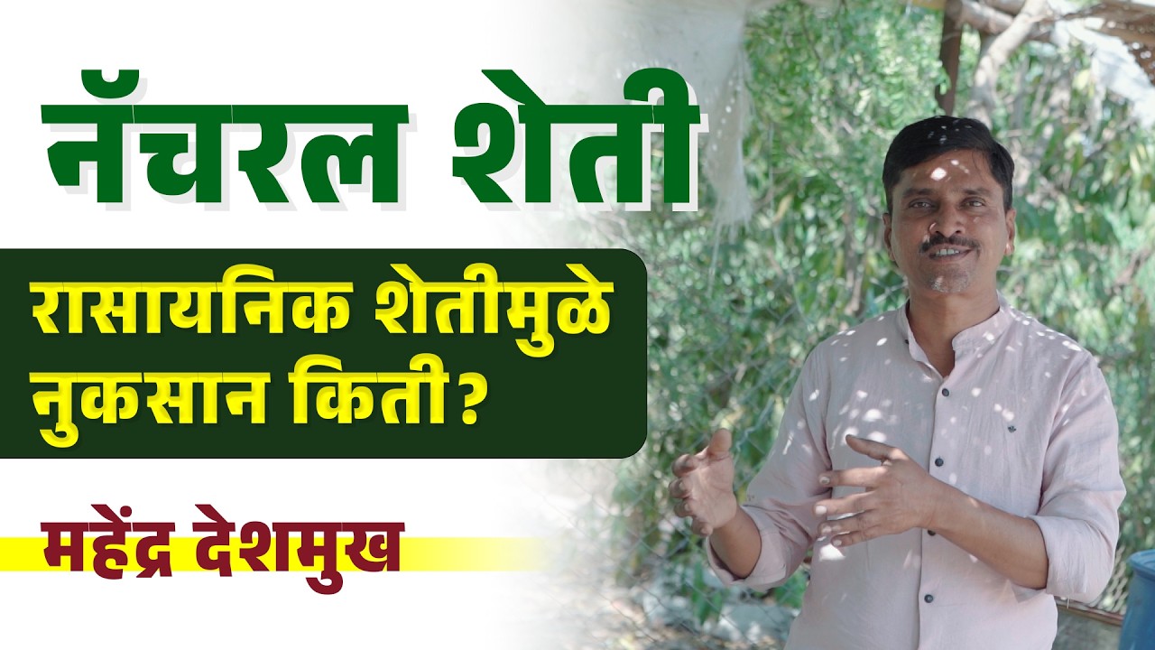 रासायनिक शेतीमुळे नुकसान किती? सेंद्रिय शेती का आवश्यक आहे?