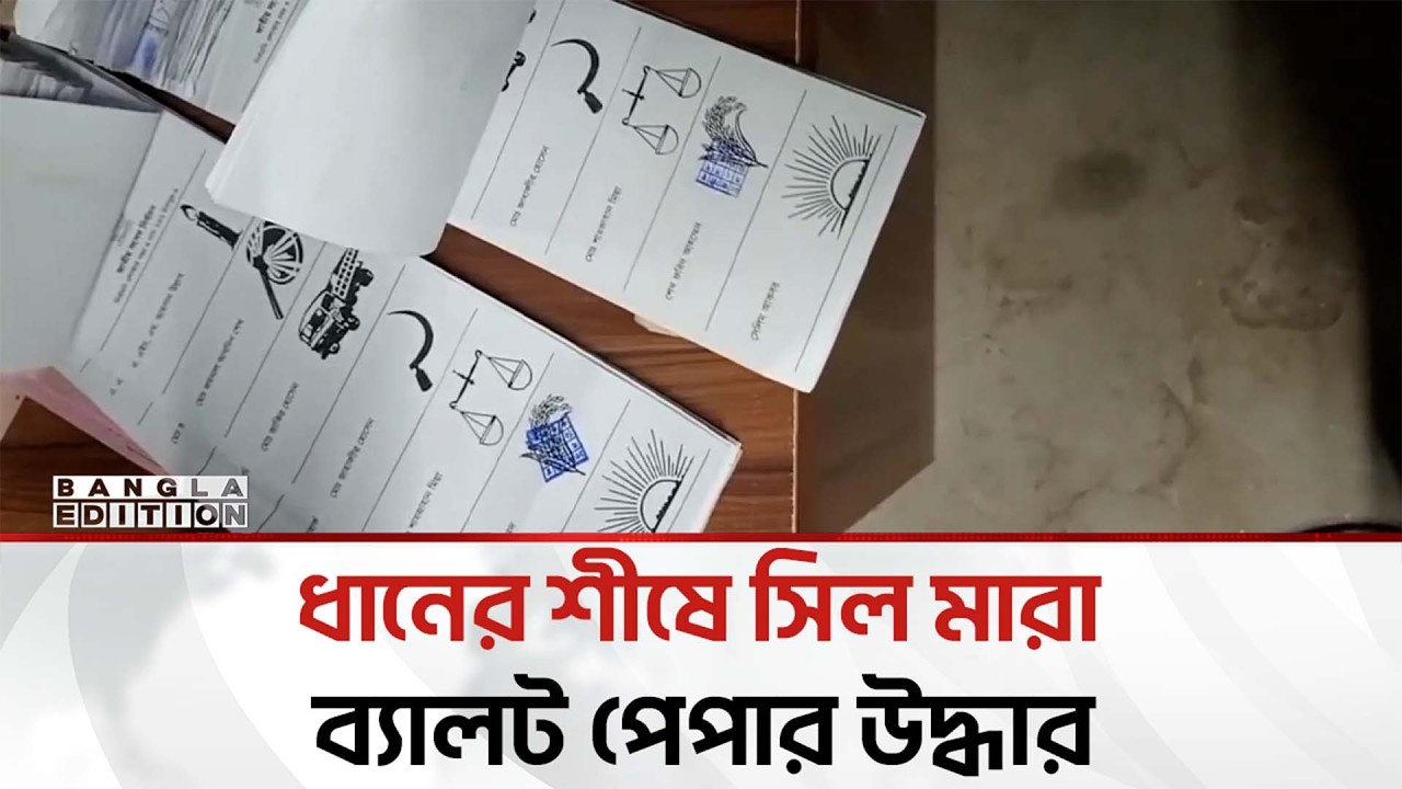 চাঁদপুর-৩ আসনে ধানের শীষে সিল মরা ব্যালট উদ্ধার | Bangla Edition