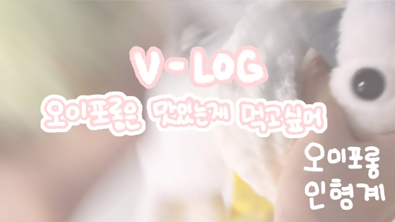 오이포롱은 맛있는게 먹고싶어!! #인형계 #먹방 #브이로그 
