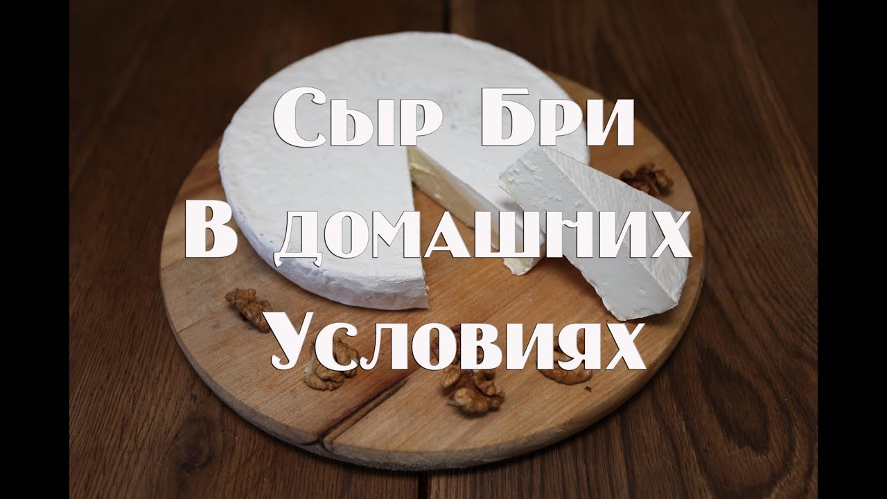 Сыр Бри в домашних условиях. Полный пошаговый рецепт