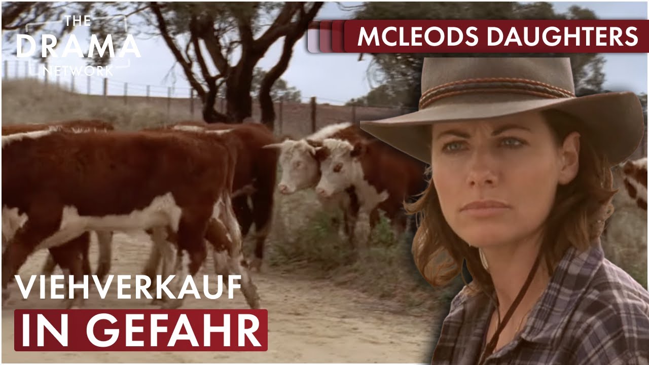Australische Viehzucht gerät außer Kontrolle | McLeods Daughters