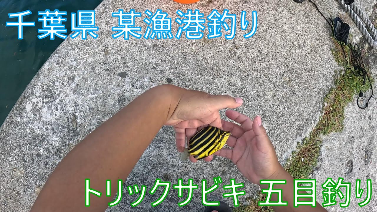 【海釣り】千葉県某漁港でトリックサビキで五目釣りをしてみた