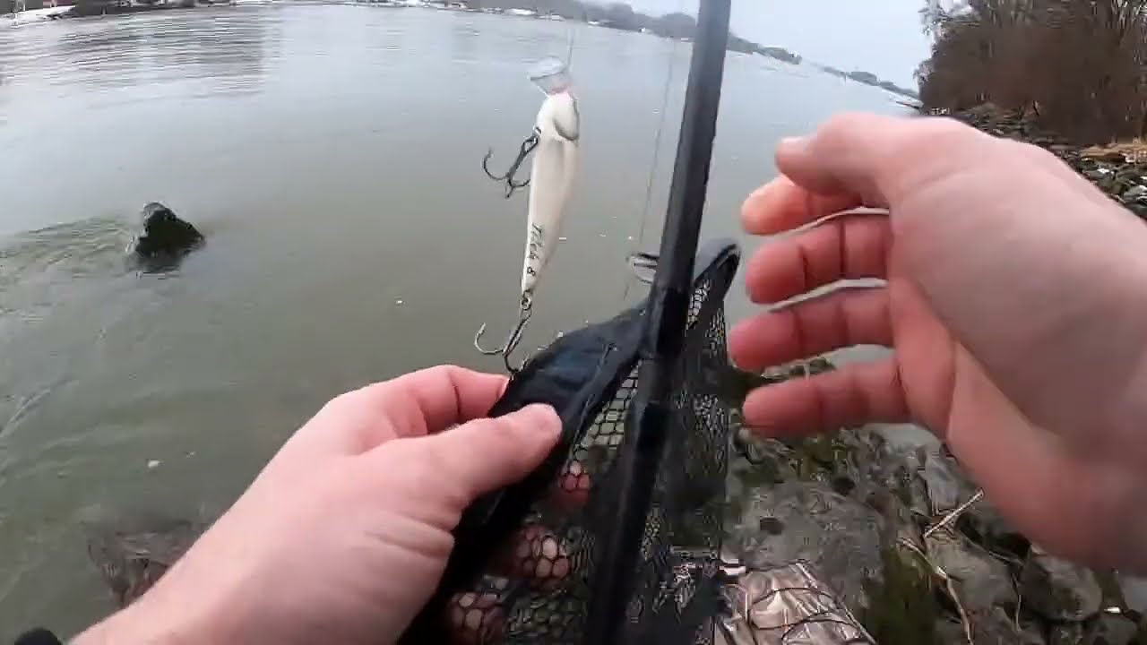Streaming Live from my #GoPro