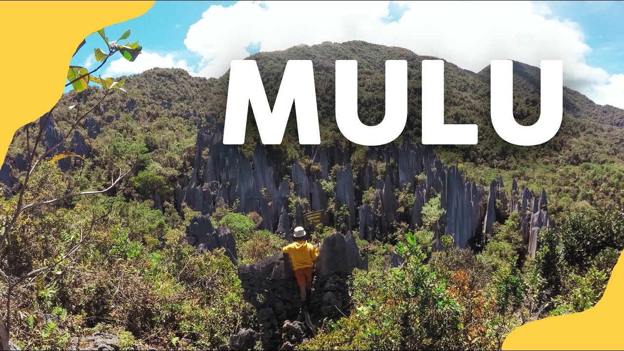 My Adventure in Mulu, Sarawak