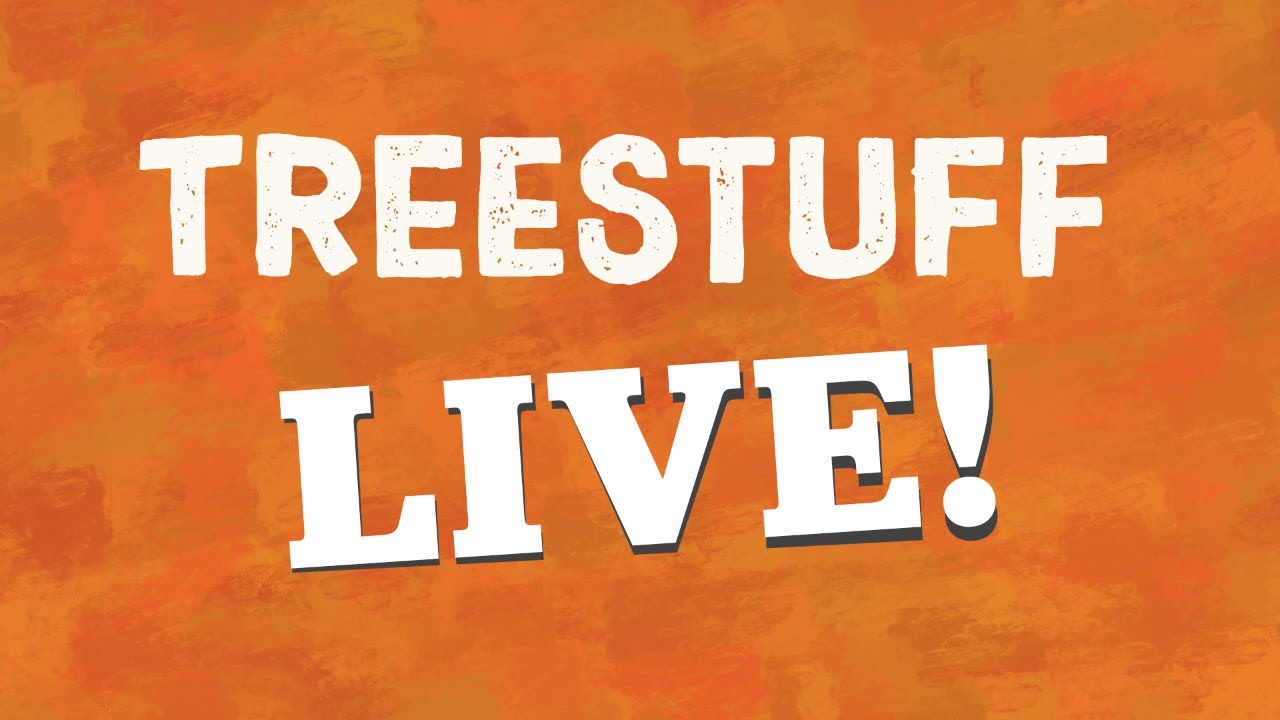 TreeStuff LIVE с Ником Арайей &mdash; выставка арбористики 22.10.2025!