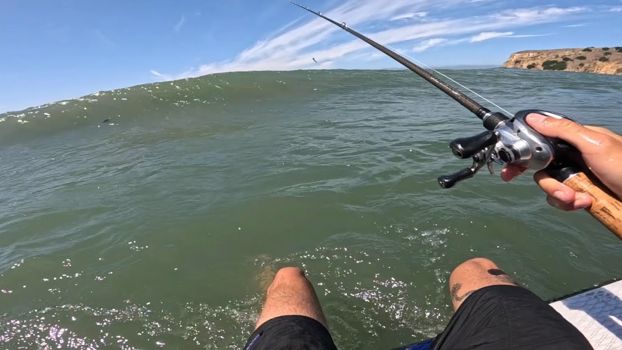 ROGUE WAVE CAPSIZES MY PADDLE BOARD!! Fishing Seabass, Halibut, and Bass in Palos Verdes!
