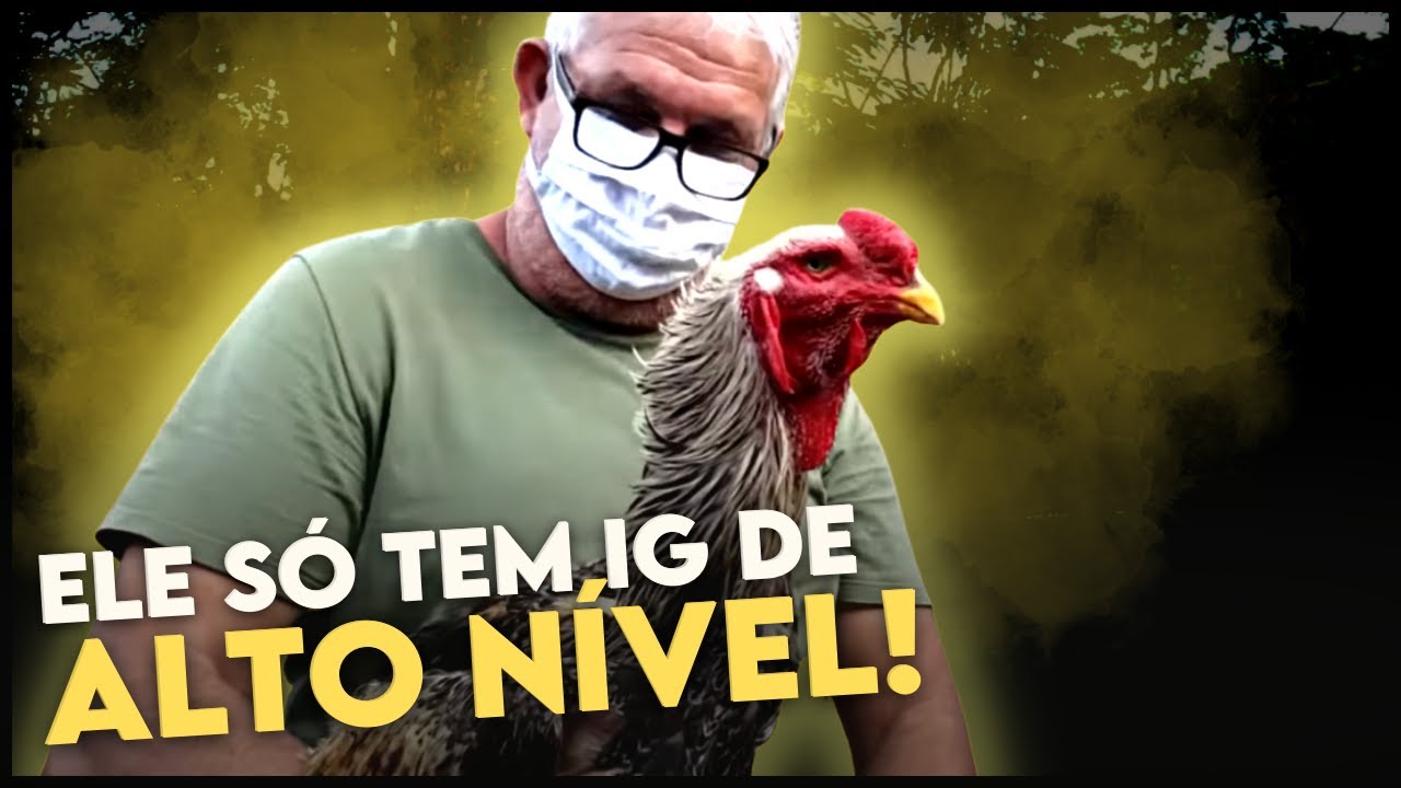 Como INICIAR uma CRIAÇÃO de ÍNDIO GIGANTE de forma SUSTENTÁVEL