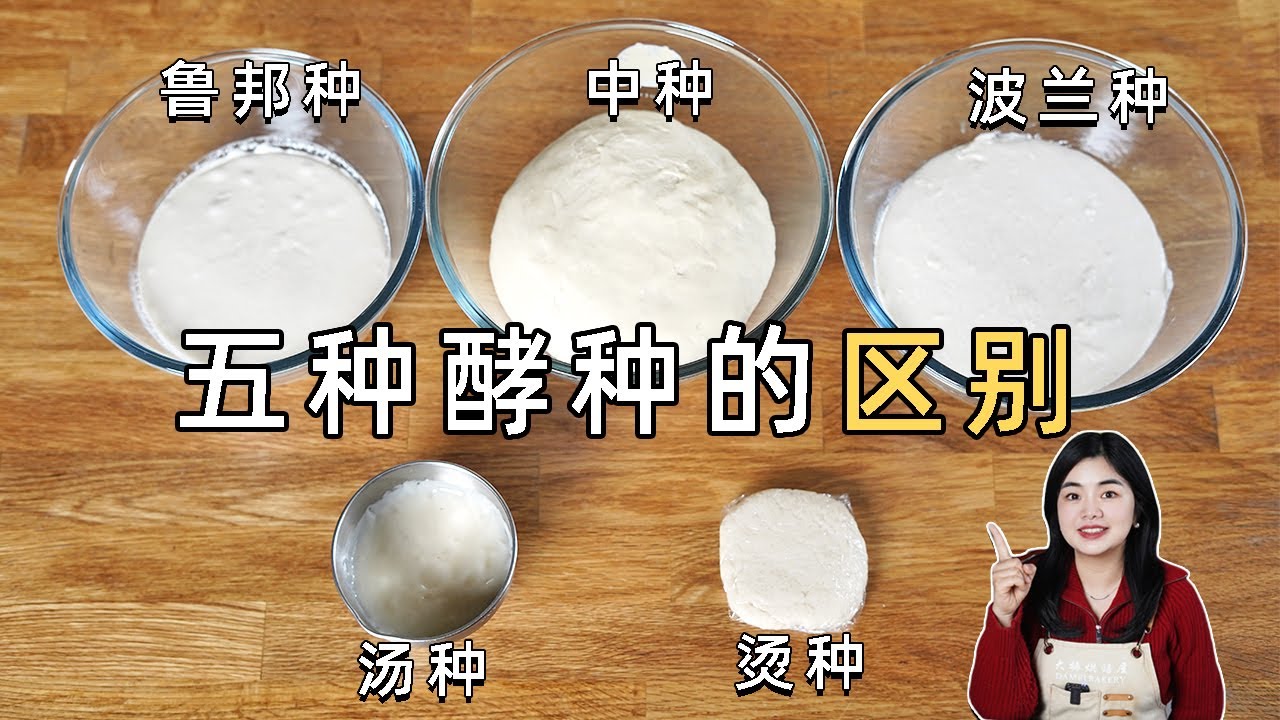 五大酵种原理大解析！波兰种鲁邦种中种区别