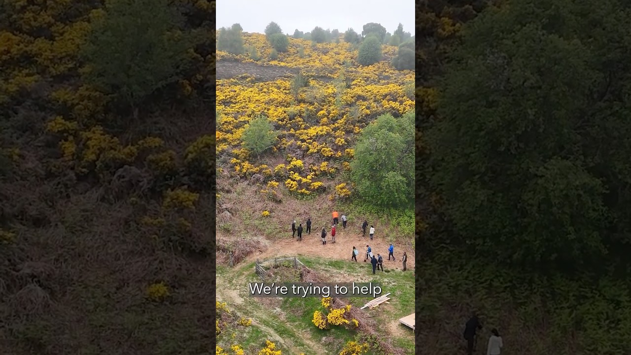 Forward thinking businesses recognise the urgency of nature restoration