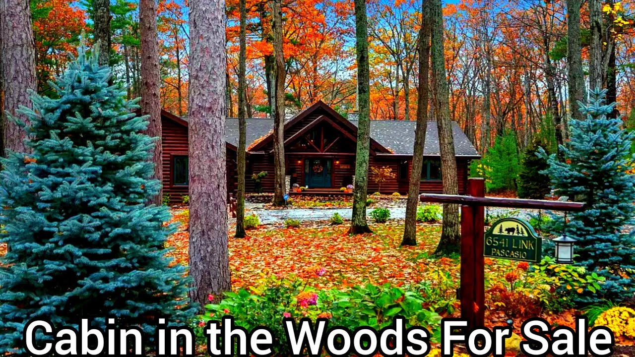 Michigan Lake Log Cabins For Sale | 4bd | 4ba | Fully Furnished Cabins | Michigan Real Estate