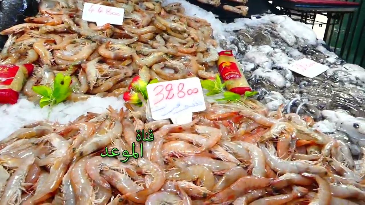 أسعار الأسماك في السوق المركزي بحمام الأنف ، الطقس خايب الحوت غالي