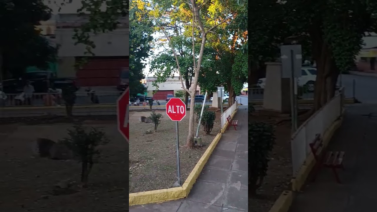 Parque Anita Alvarado Santa Ana 
