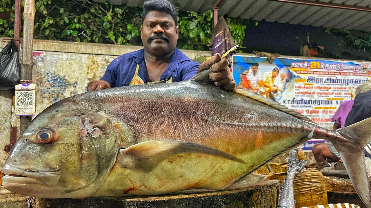 KASIMEDU SPEED SELVAM | HUGE TRAVELLY FISH CUTTING VIDEO | 4K VIDEO | CS FISH CUTTING