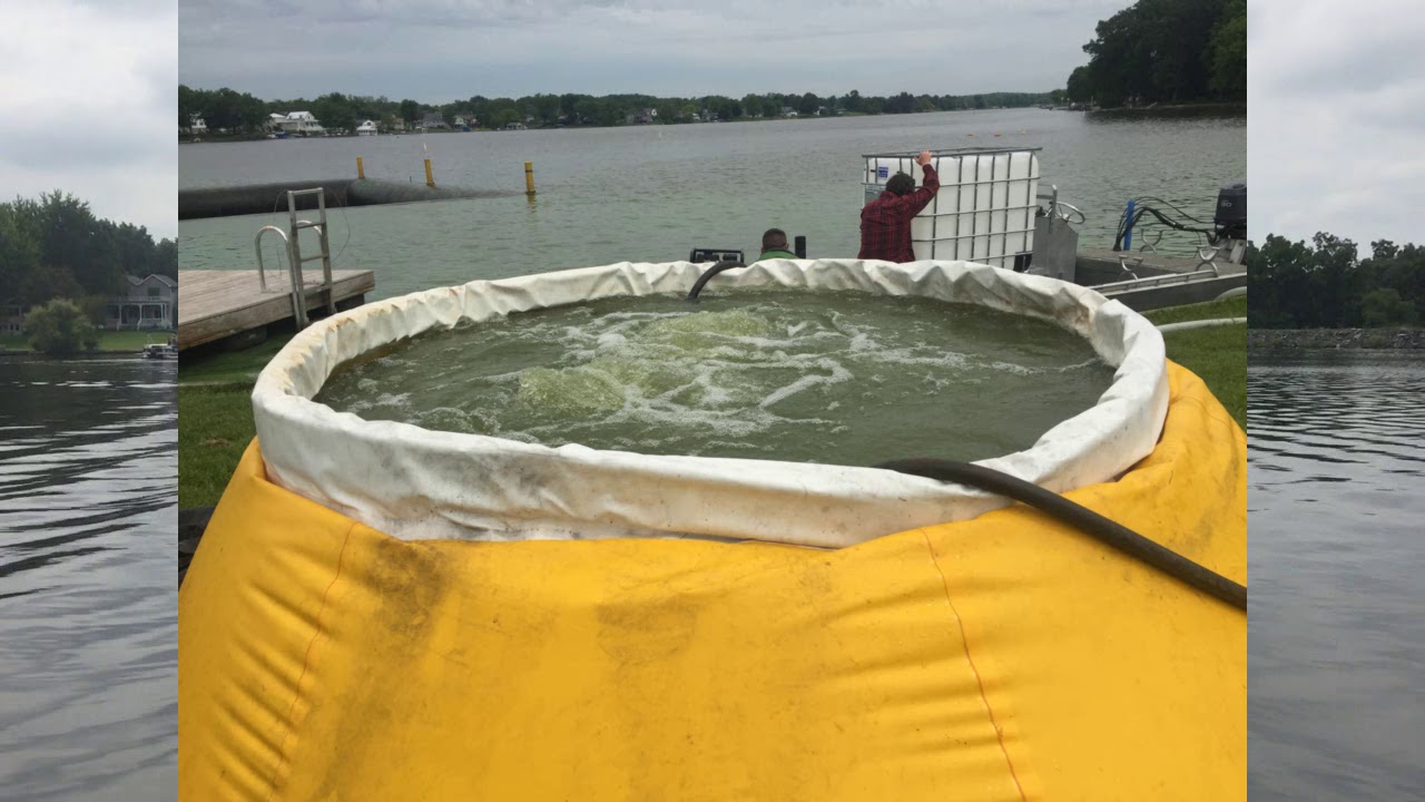 Conquering Harmful Blue Green Algae Blooms - Lake Heritage