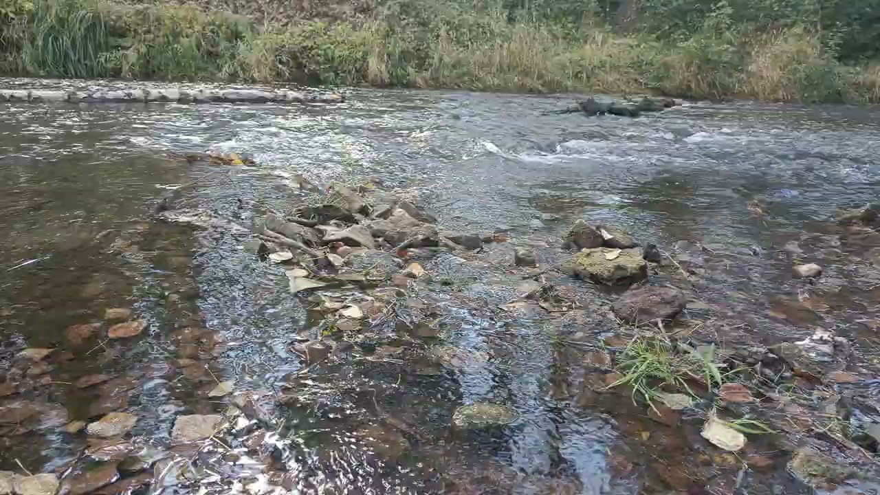 Точно 