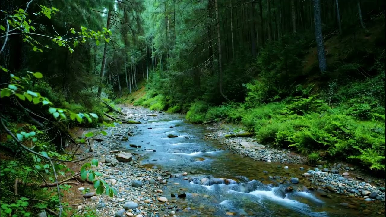 Soothing Mountain Forest Stream Sounds | Calm Mind, Anxiety Relief & Inner Peace