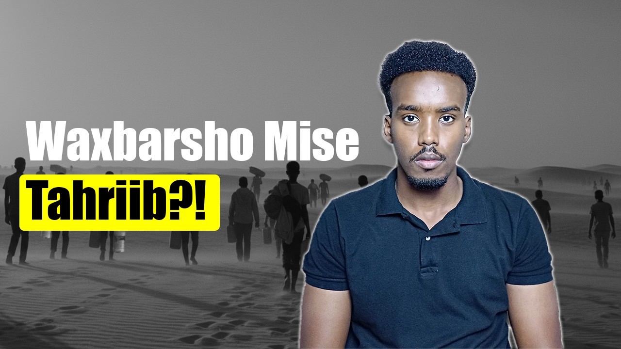 Dhibaatada Dhalinyarda Haysata | Maxaa Wax loobartaa hadii aysan shaqo jirin?!
