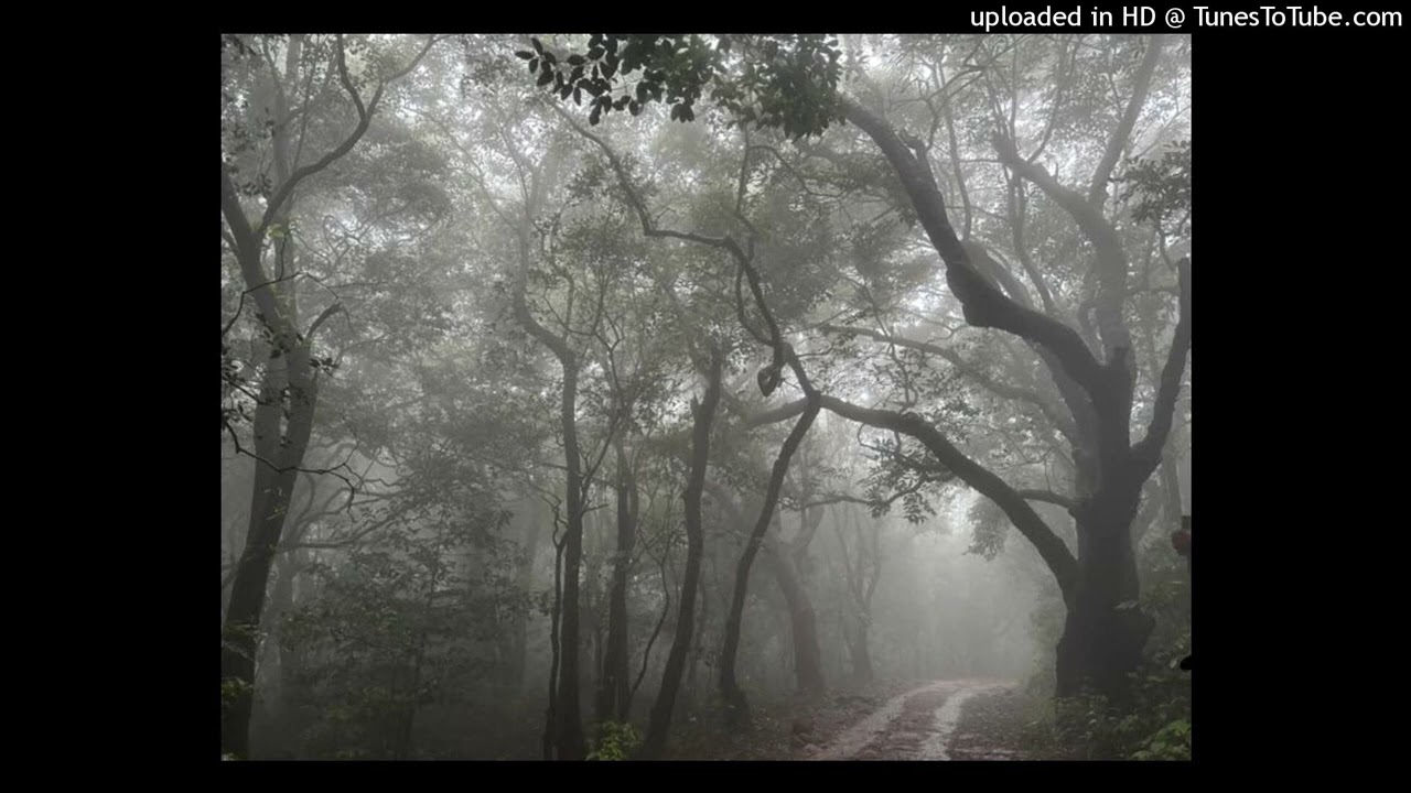 [FREE4NP] yung lean x eric dingus + soundcloud cloud rap type beat