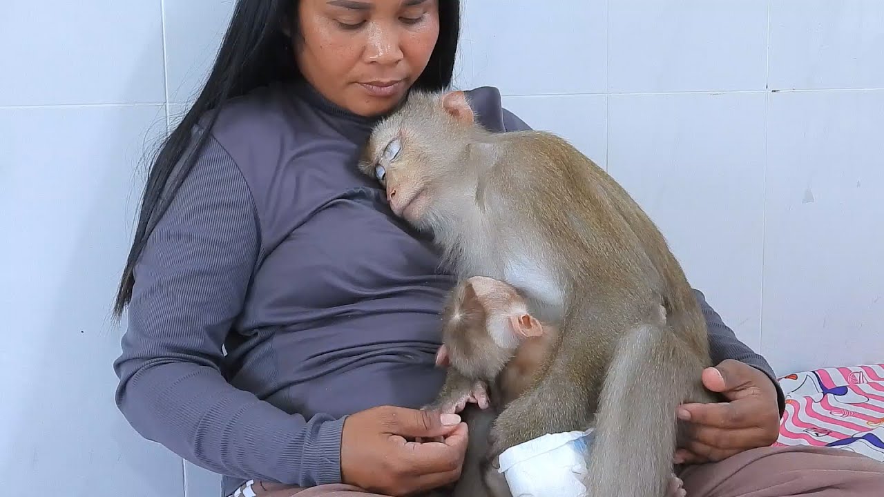 Baby Luka With Luna Enjoying Nap On Mom's Chest