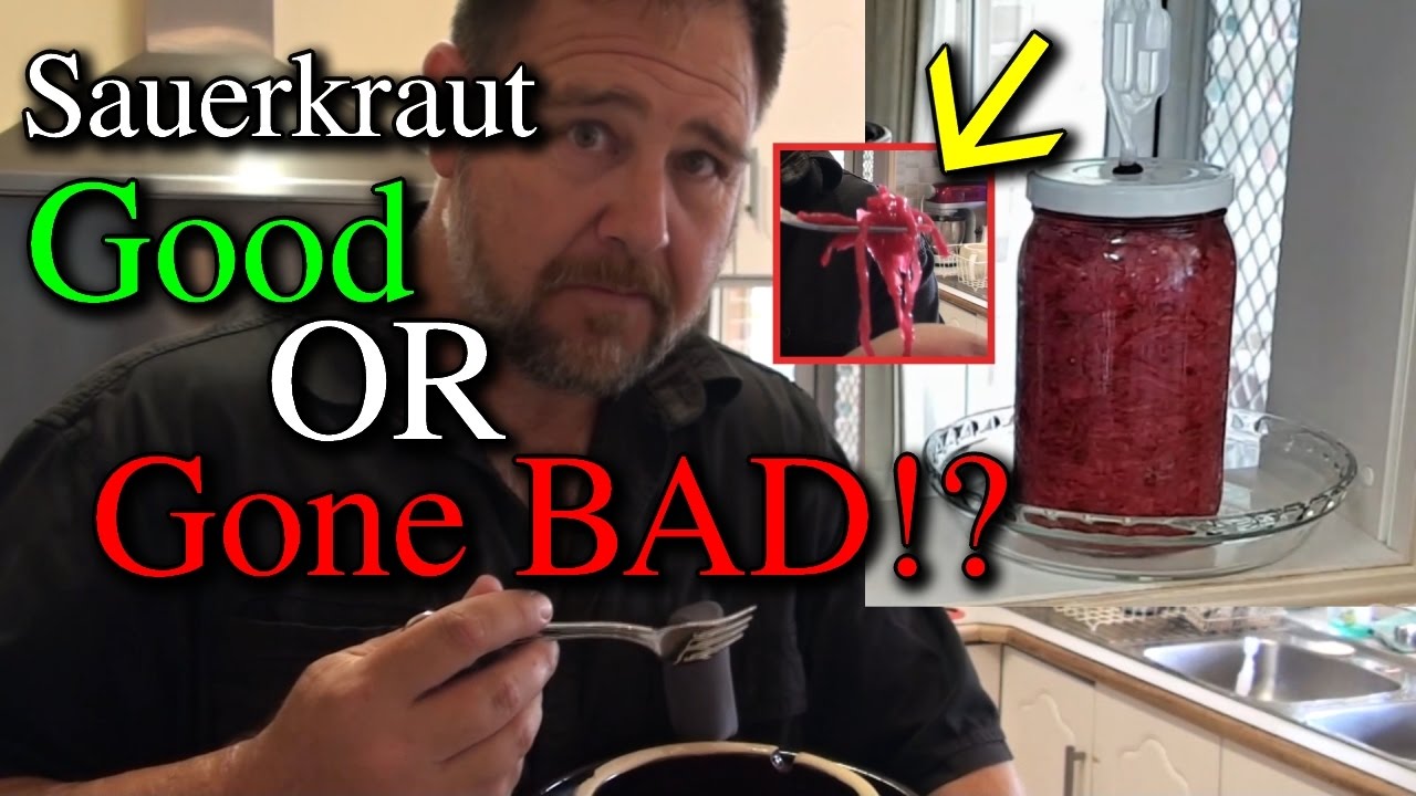 Testing Sauerkraut is it Bad or Safe to Eat?