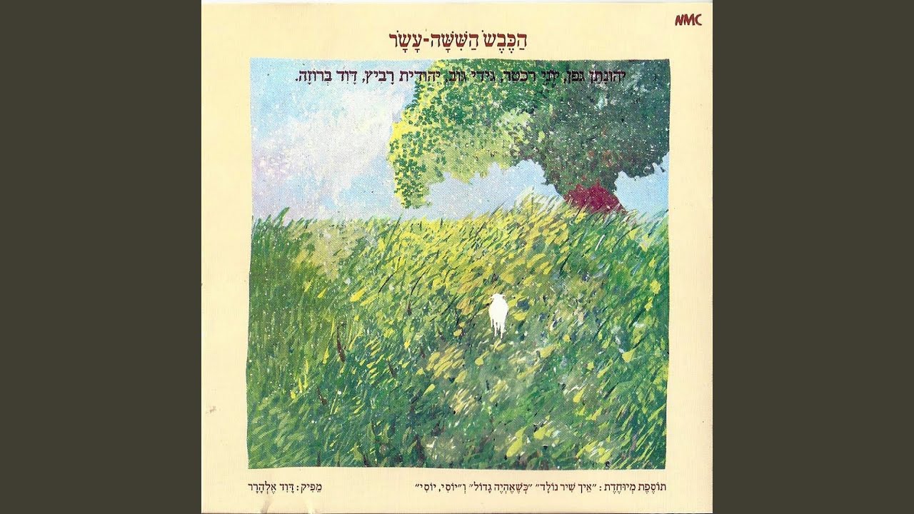 הסיפור על האיש הירוק
