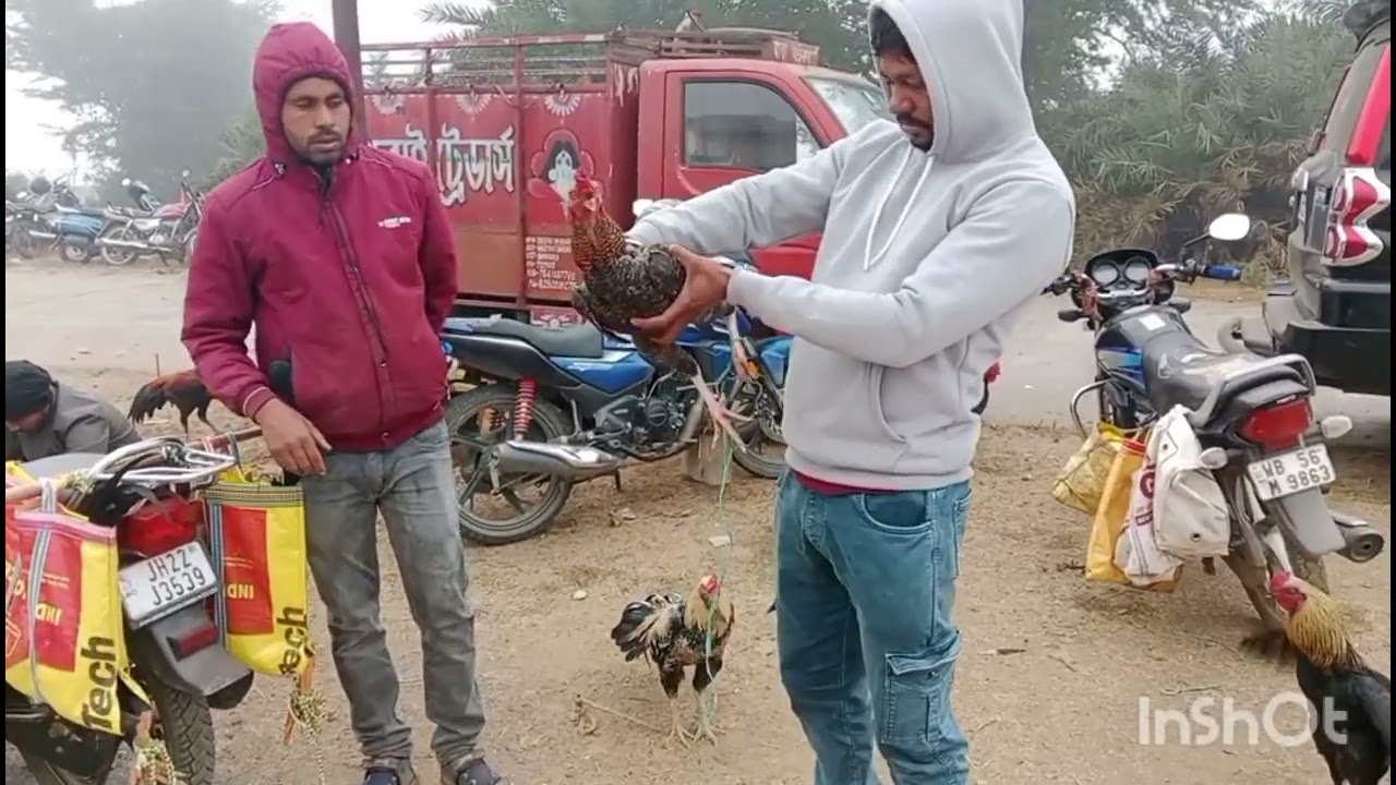 বলরামপুরের মুরগার হাট 2025 এর শেষ হাট। রাস্তা থেকে কসকস্যা ভিড় জমে গেছে বন্ধুরা। 