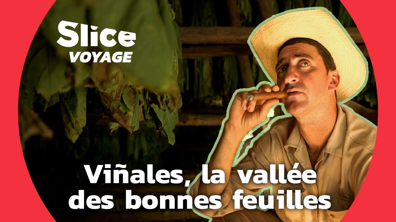 Cuba : l'art centenaire du cigare I SLICE VOYAGE