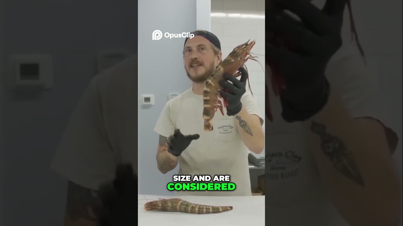 Tiger Prawns  Why So Expensive  Shrimp Farming Secrets!