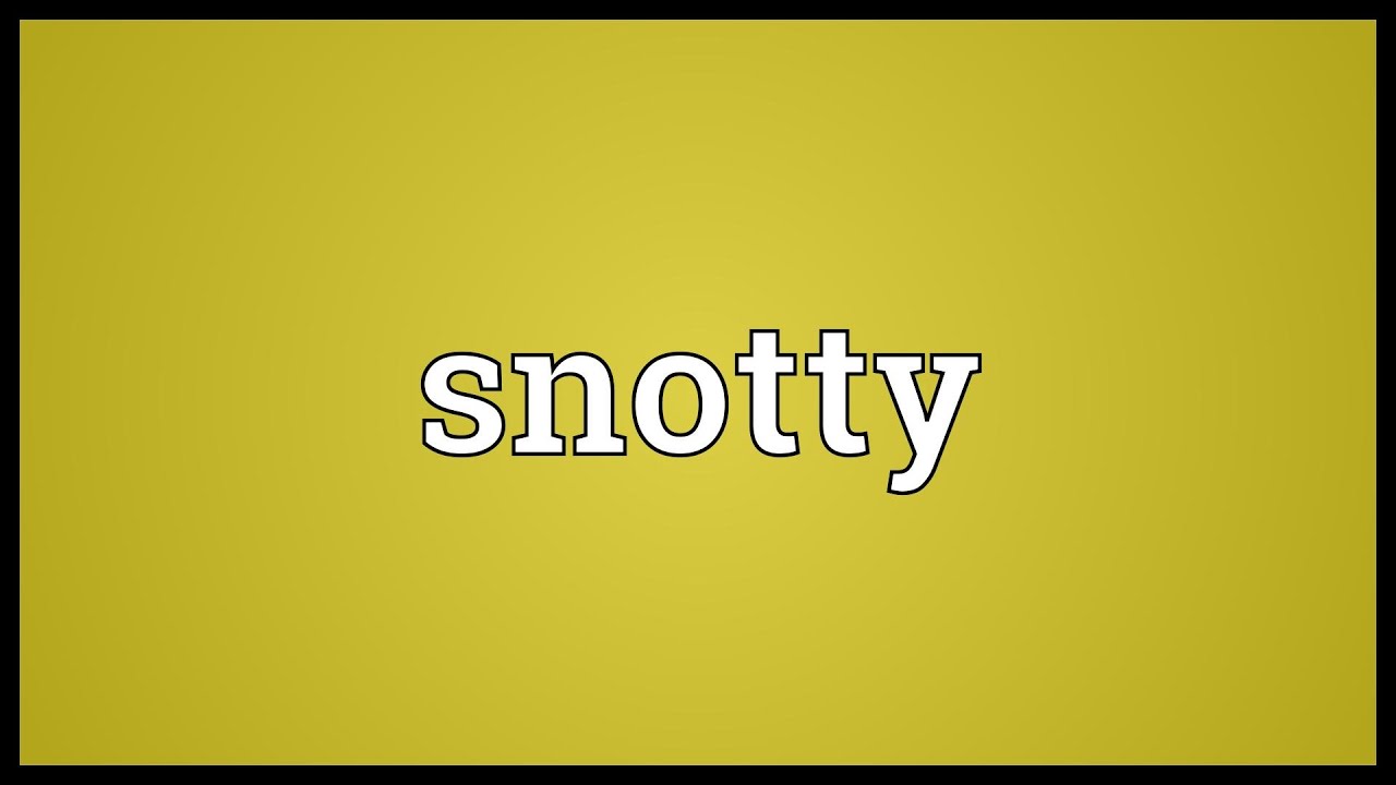 Snotty Meaning