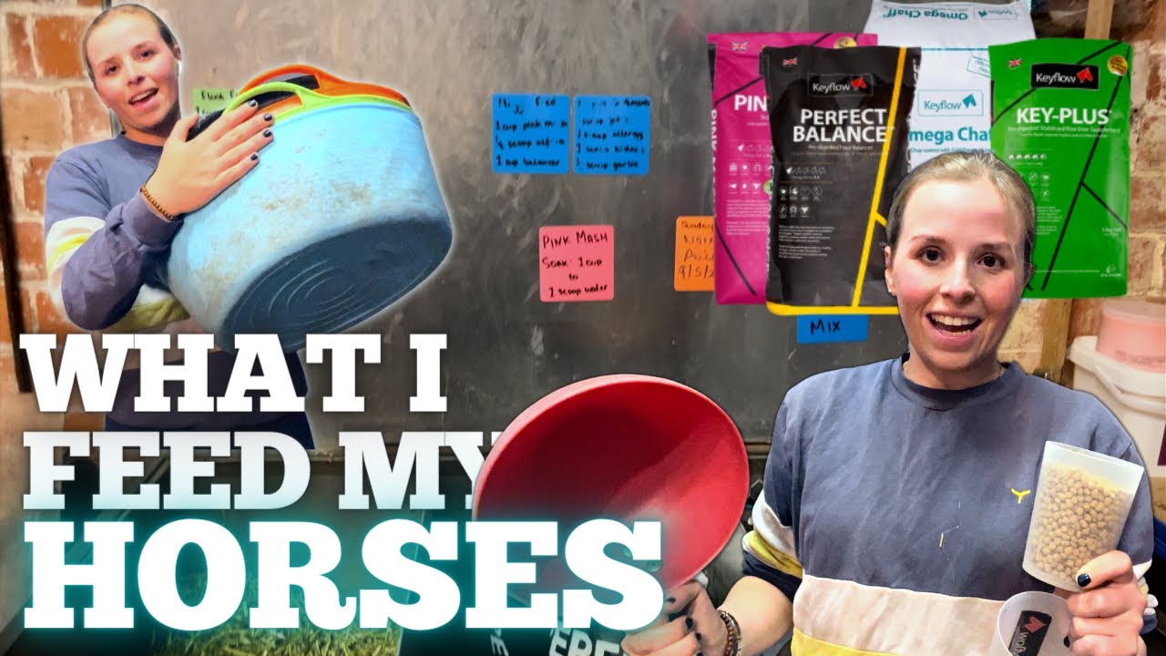 WHAT I FEED MY HORSES! - Feeding made simple - Event Horse Nutrition