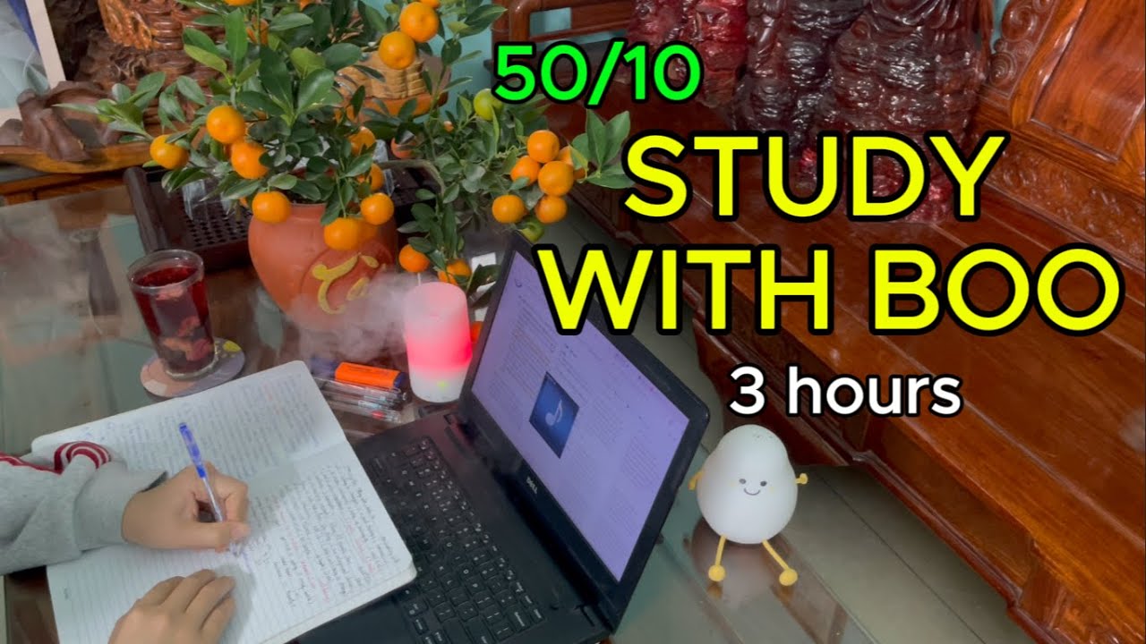 #137 🌙 3 HOURS STUDY WITH ME 🧠  Late Night  Pomodoro 50-10  Real Time  Ambient Sound