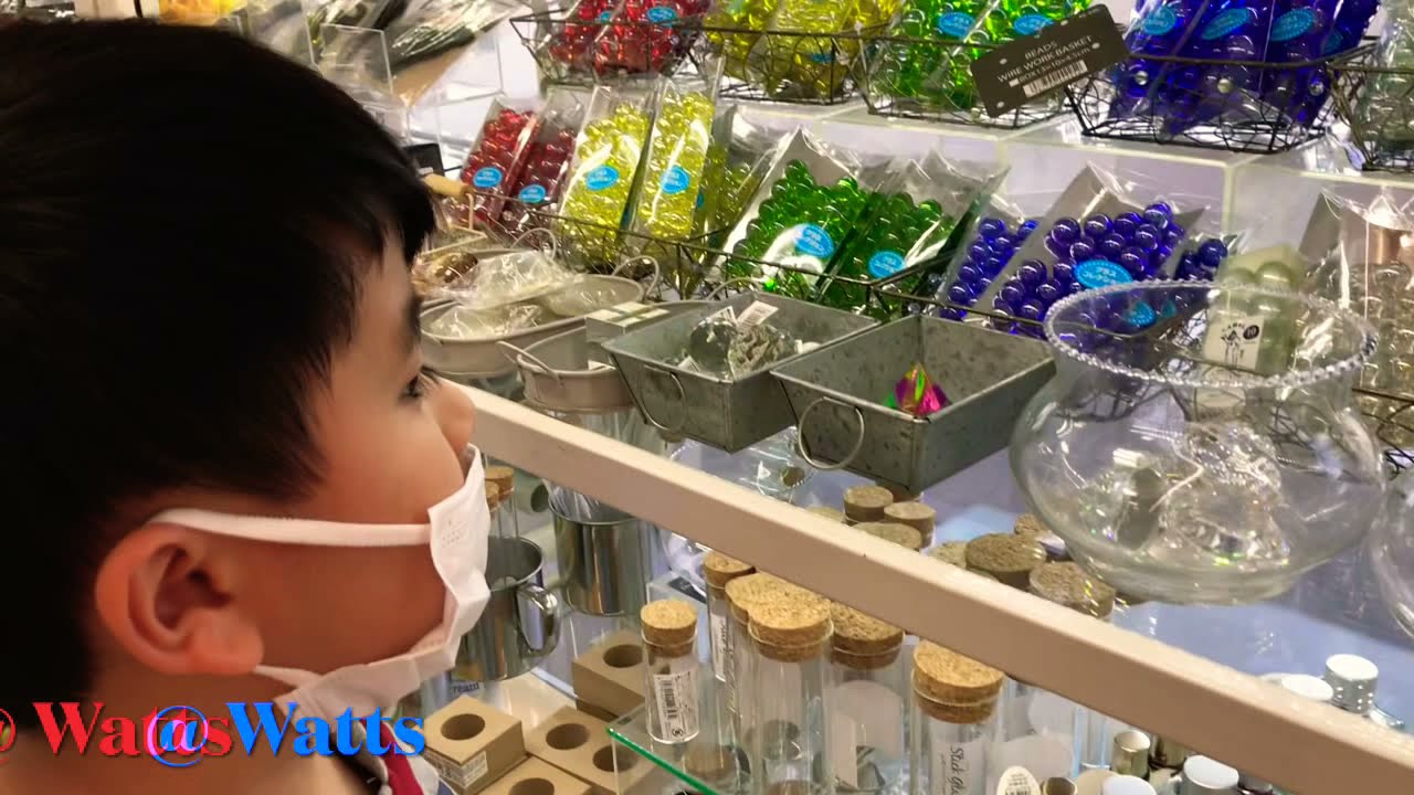 A DAY IN THE LIFE: LITTLE HELPER, WATTS, SUGI & YAOKO