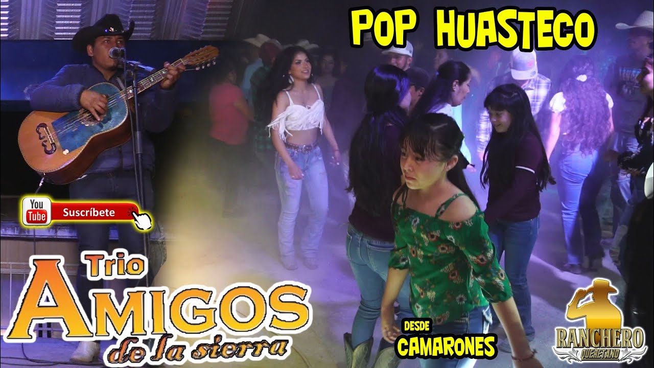 Trio Los Amigos de la sierra - Popurri Huasteco 🎻