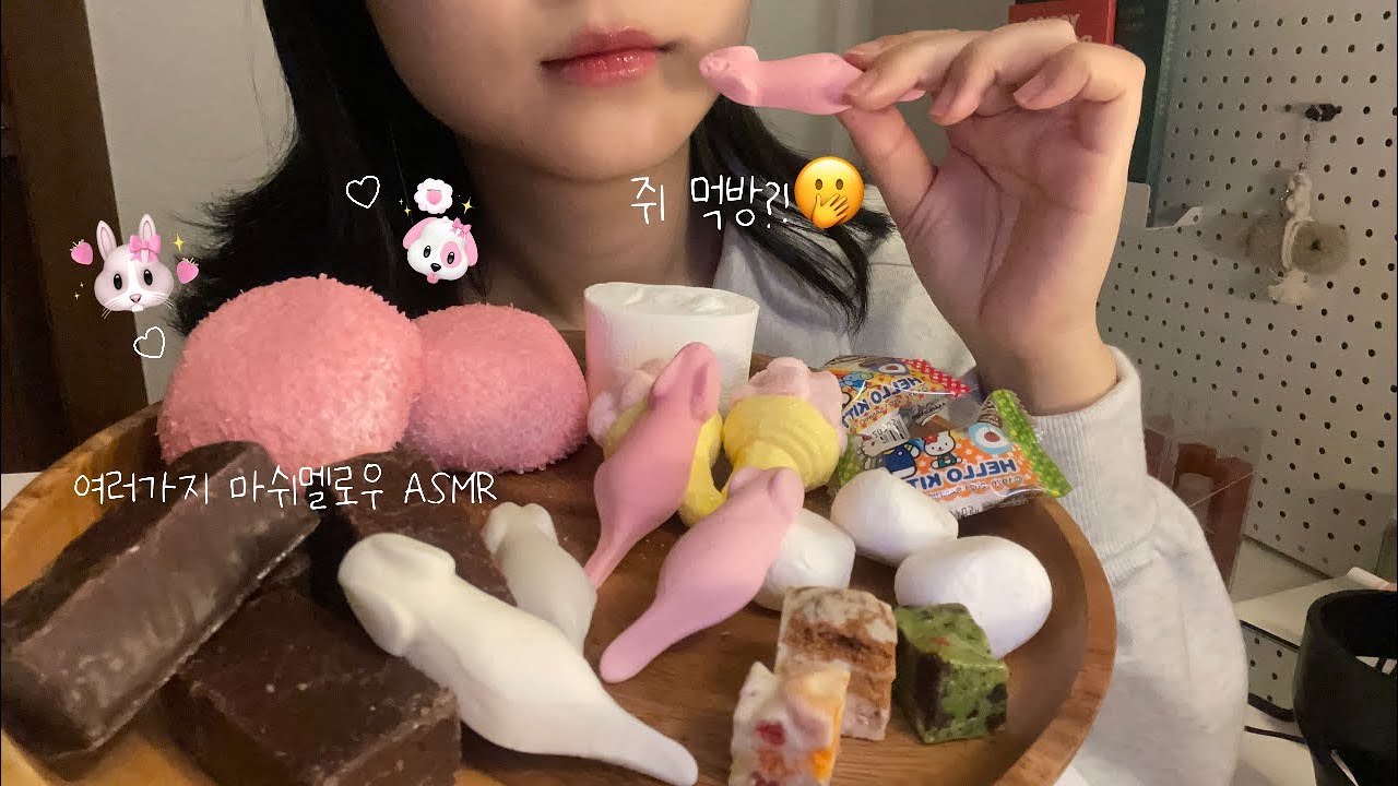 ASMR 여러가지 마쉬멜로우 간식 │ 하리보 스위트마우스, 초코마쉬멜로우, 호스티스 스노우볼, 쫀득쿠키, 미니 마쉬멜로