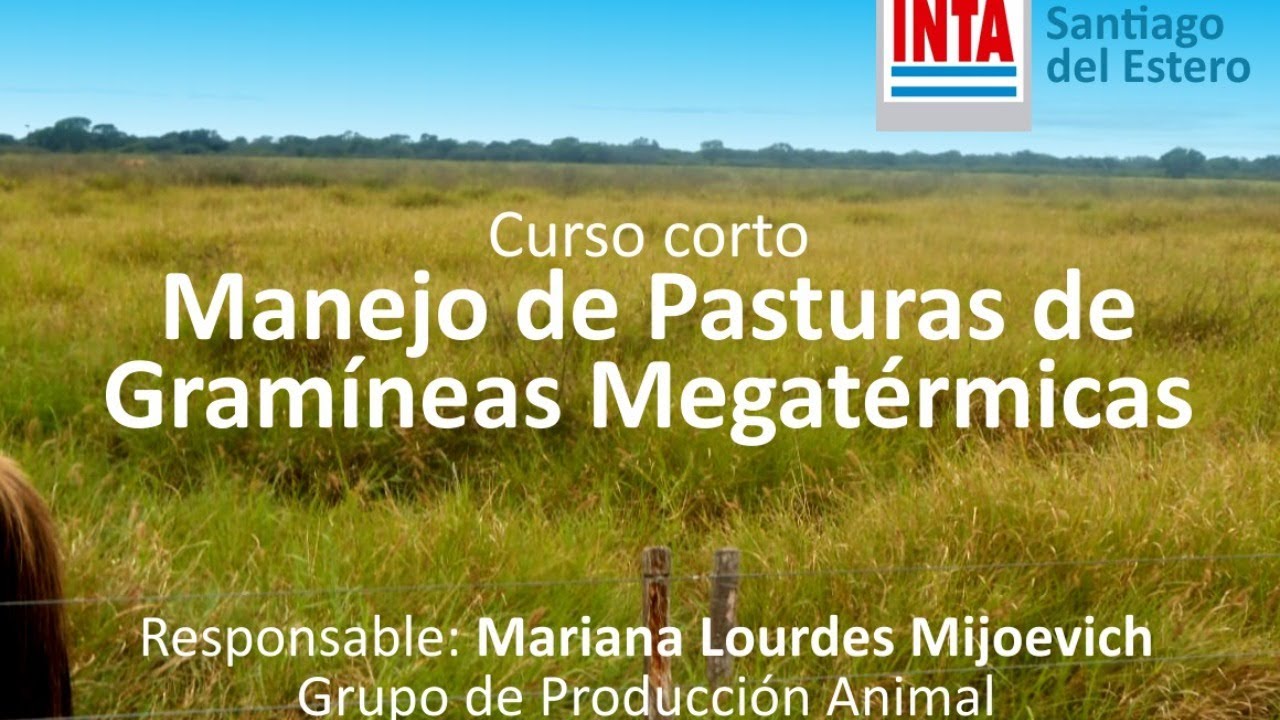 EEA SANTIAGO manejo de la defoliaci&oacute;n de gram&iacute;neas Megat&eacute;rmicas.