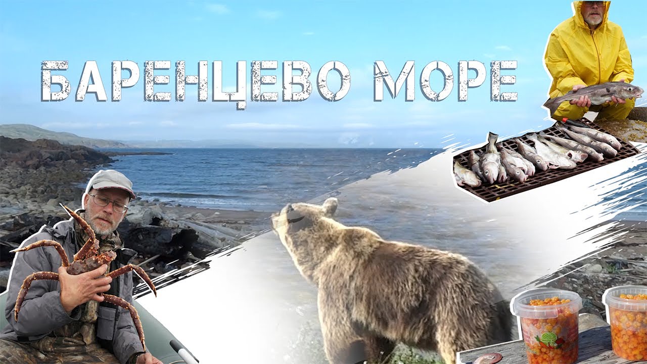 Териберка - Баренцево море 2018 на лодке и пешком в бухту Опасова. Ловля трески, встреча с медведем.