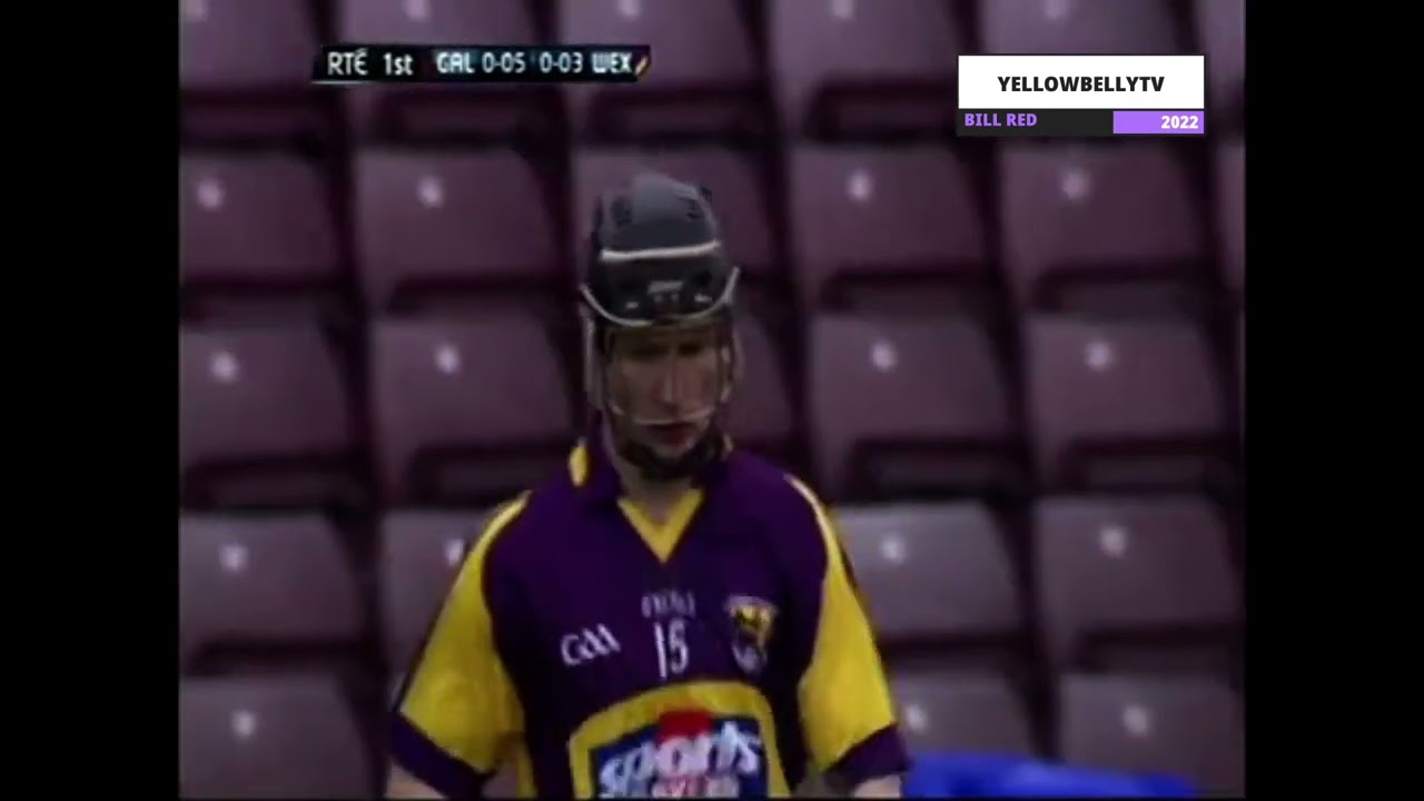 Jim Berry Wexford Sideline cut v Galway 2011