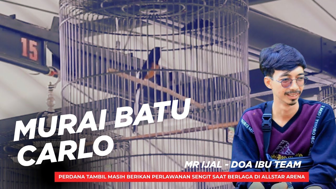 CARLO, Perdana tampil, masih berikan perlawanan sengit di Allstar Arena!. #muraibatu 