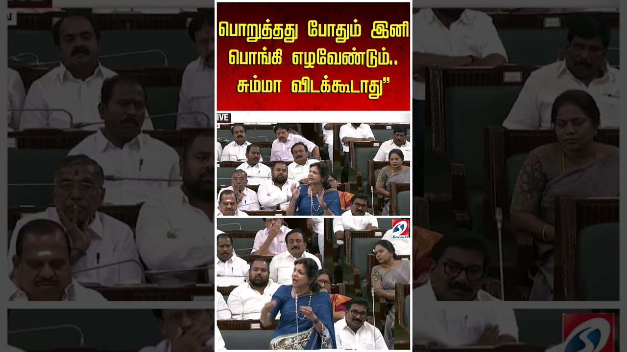 'பொறுத்தது போதும் இனி பொங்கி எழவேண்டும்.. சும்மா விடக்கூடாது'' - ஆவேசமாக பேசிய சௌமியா அன்புமணி