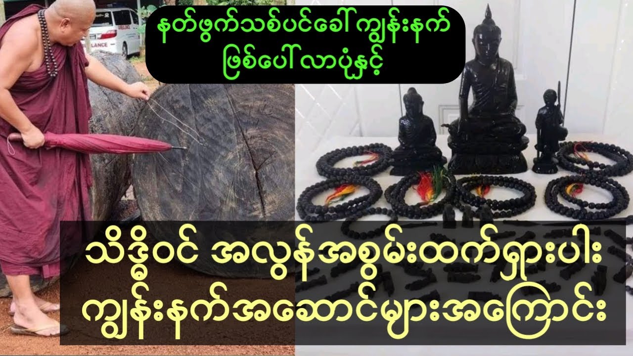 နတ်ဖွက်သစ်ပင်ခေါ်ကျွန်းနက်ဖြစ်ပေါ်လာပုံနှင့် ကျွန်းနက်၏အစွမ်းသတ္တိများအကြောင်း #radiomyanmar
