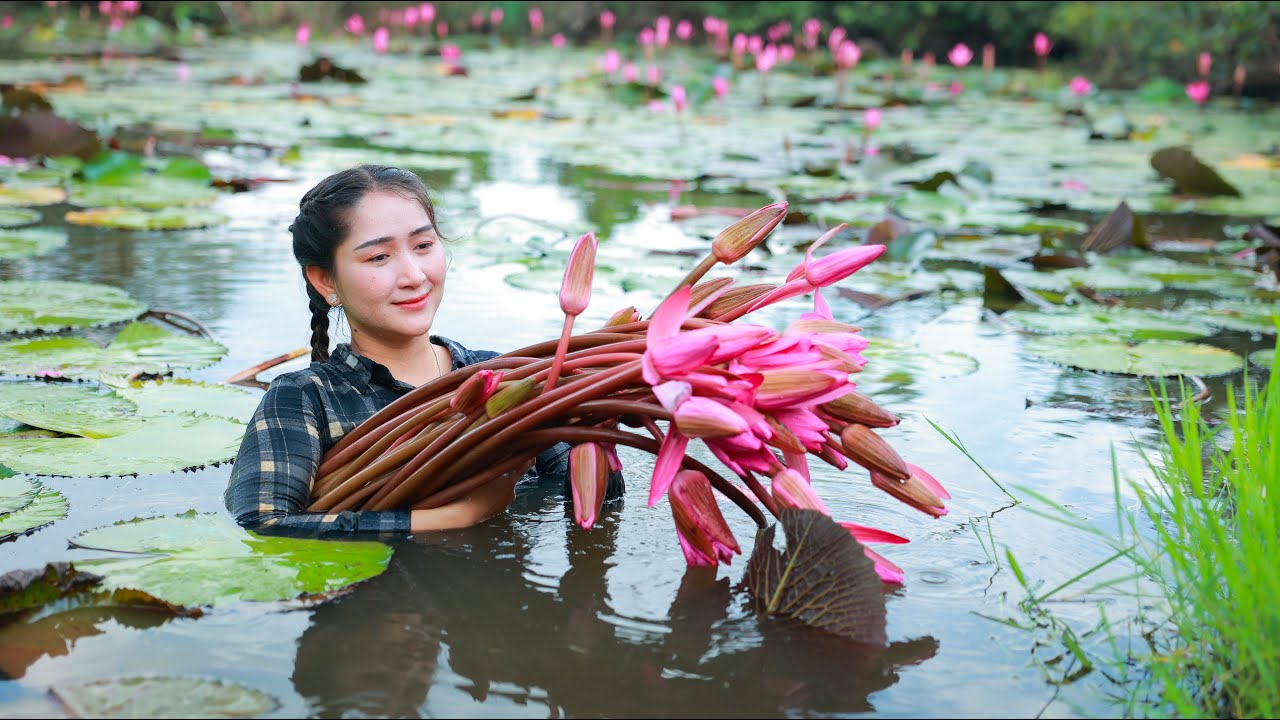 Have you ever cook water lyly like this at home? | Long Water Lyly from pond / Water lyly recipe
