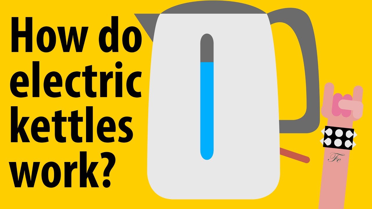 How do electric kettles work? - Kitchen Appliance Explained