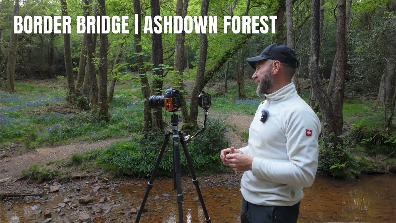 Walks, talks and photography. Border Bridge | Ashdown forest