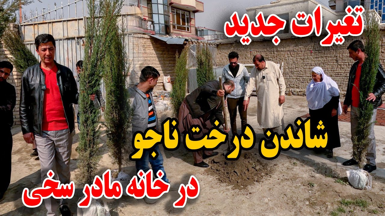 چهره جدید خانه مادر سخی - بازسازی آشپز خانه و شاندن درخت ناجو - خوشحالی مادر سخی😇😊