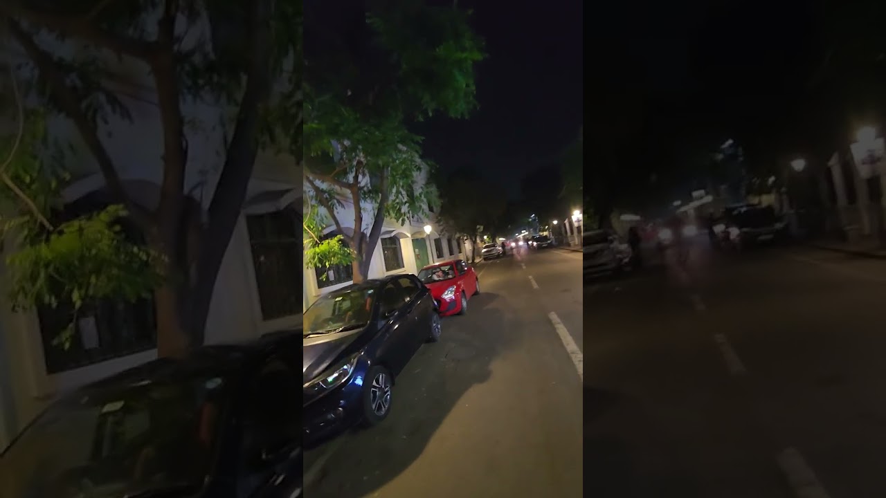 Pondicherry in New Year's Eve 2026 - Part 3
