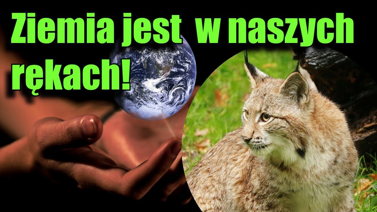 Bioniczne oko i rafy koralowe, a sz&oacute;ste masowe wymieranie?