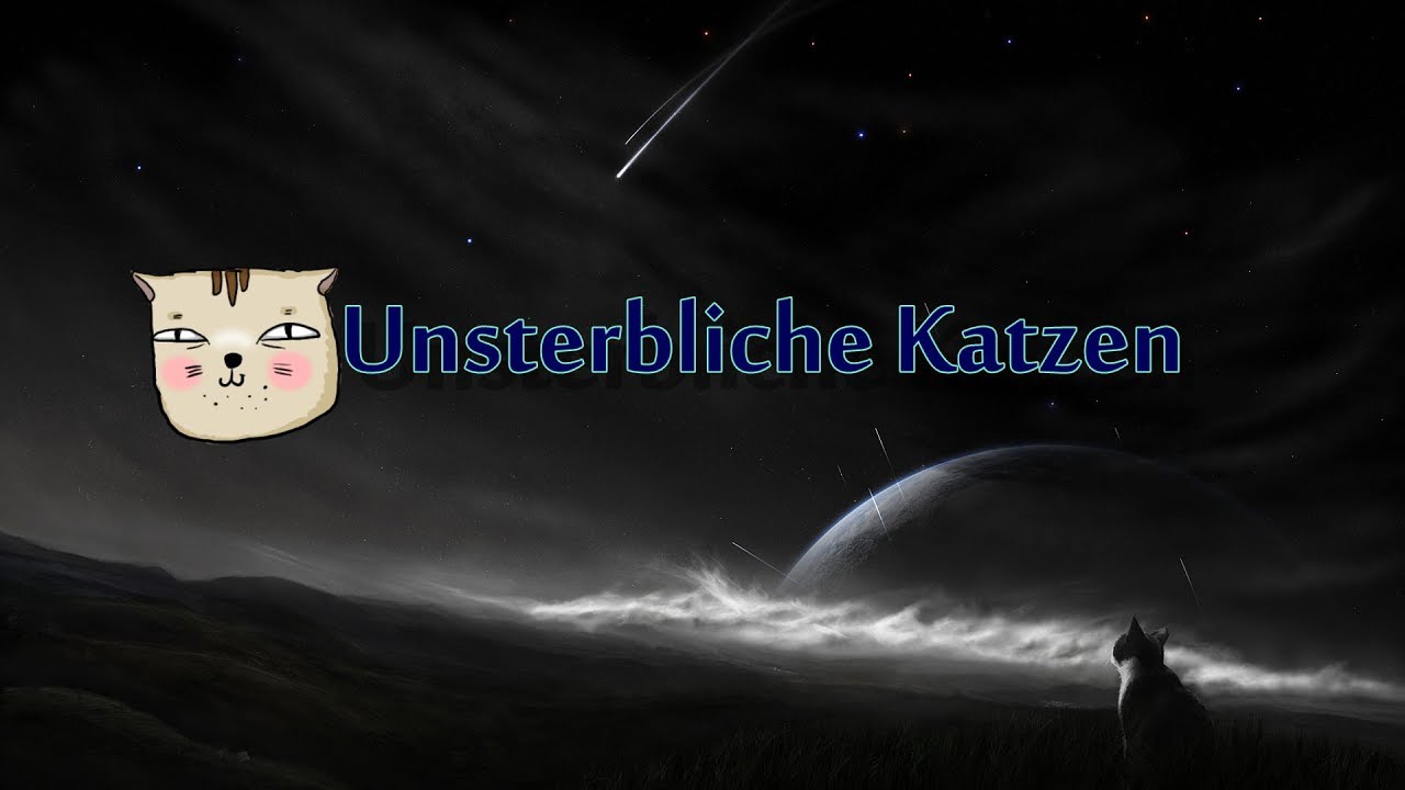 warrior cats Die 7 unsterblichen Katzen