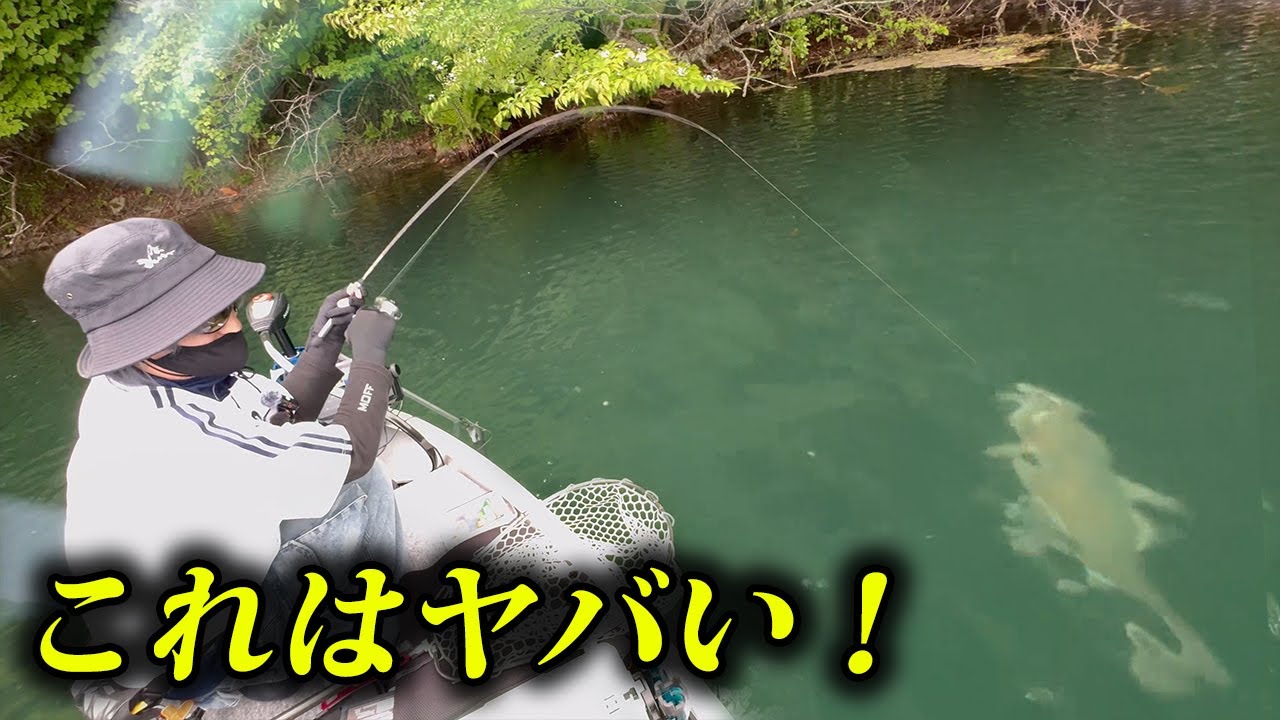 山奥に潜む野生化した巨大モンスターを釣る！【大尻沼・丸沼・ネイティブトラウト・エリアトラウト・管理釣り場】