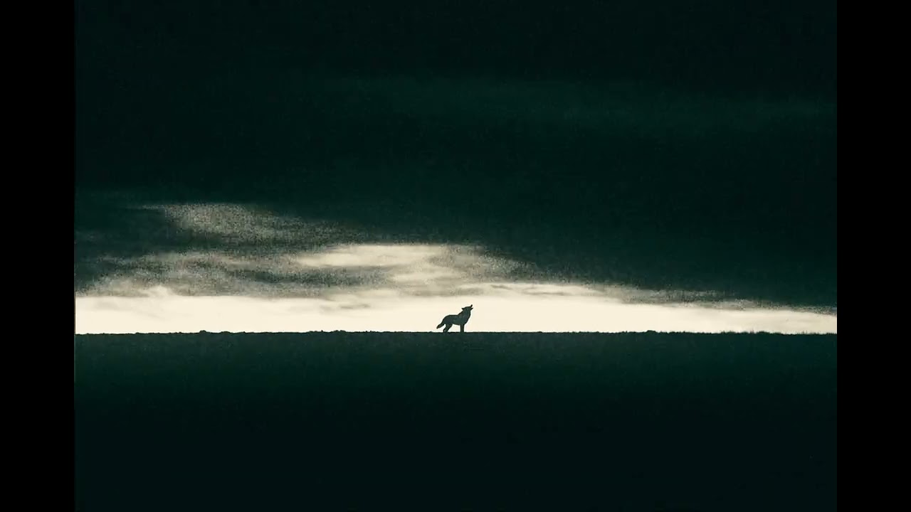 SKY WOLF  | Dark Ethnic Techno (Throat Singing Bass)
