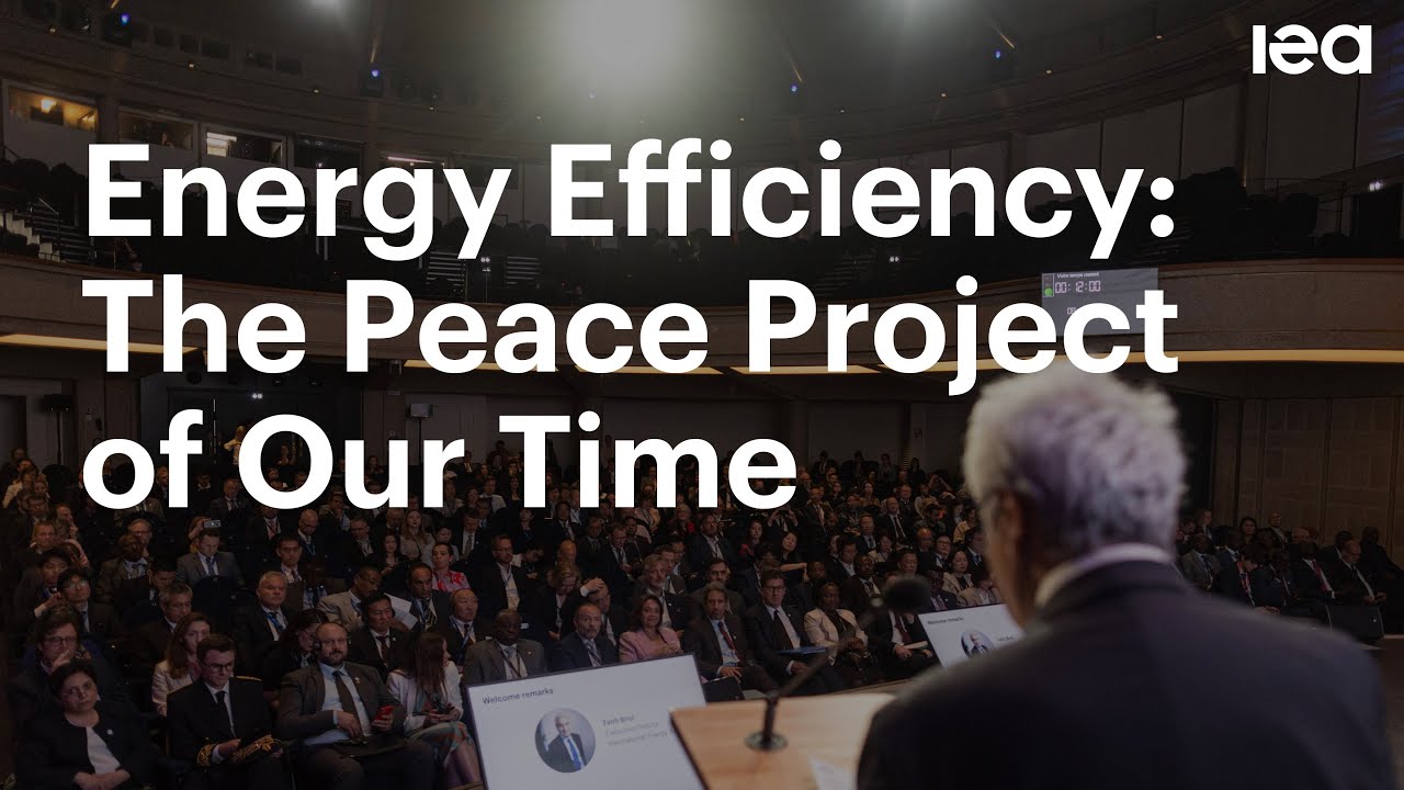 Energy Efficiency - The Peace Project of Our Time